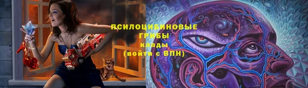 спиды Абинск