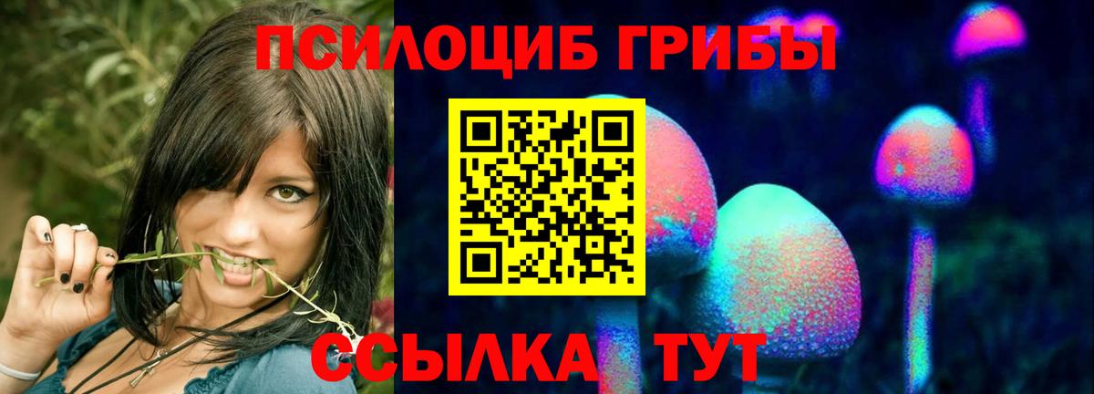 Галлюциногенные грибы GOLDEN TEACHER  купить наркотики цена  Майский  Вход с VPN  Галлюциногенные грибы Psilocybine cubensis 